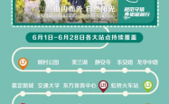 持续传递公益温度，杜绝一切传销行为——自然阳光助力行业清朗发展