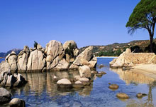 巴拉圭近年来农药投入及进出口数据简析