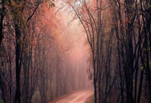 股权融资市场活跃 券商投行业务景气度回升