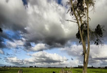 股权融资市场活跃 券商投行业务景气度回升